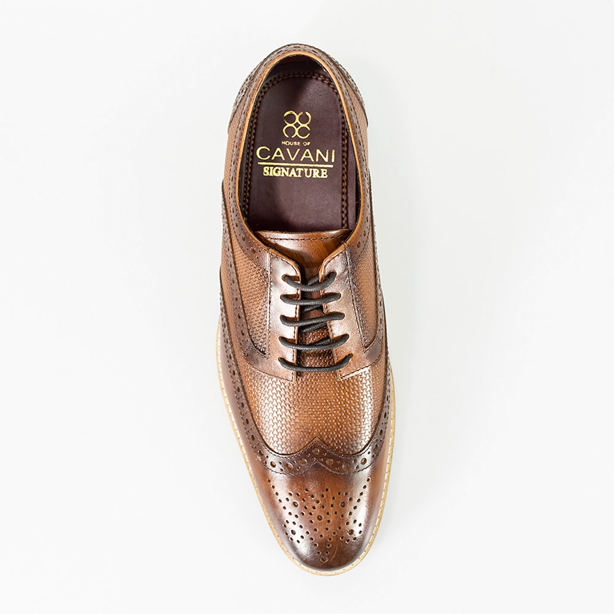 Tommy Derby Brogues