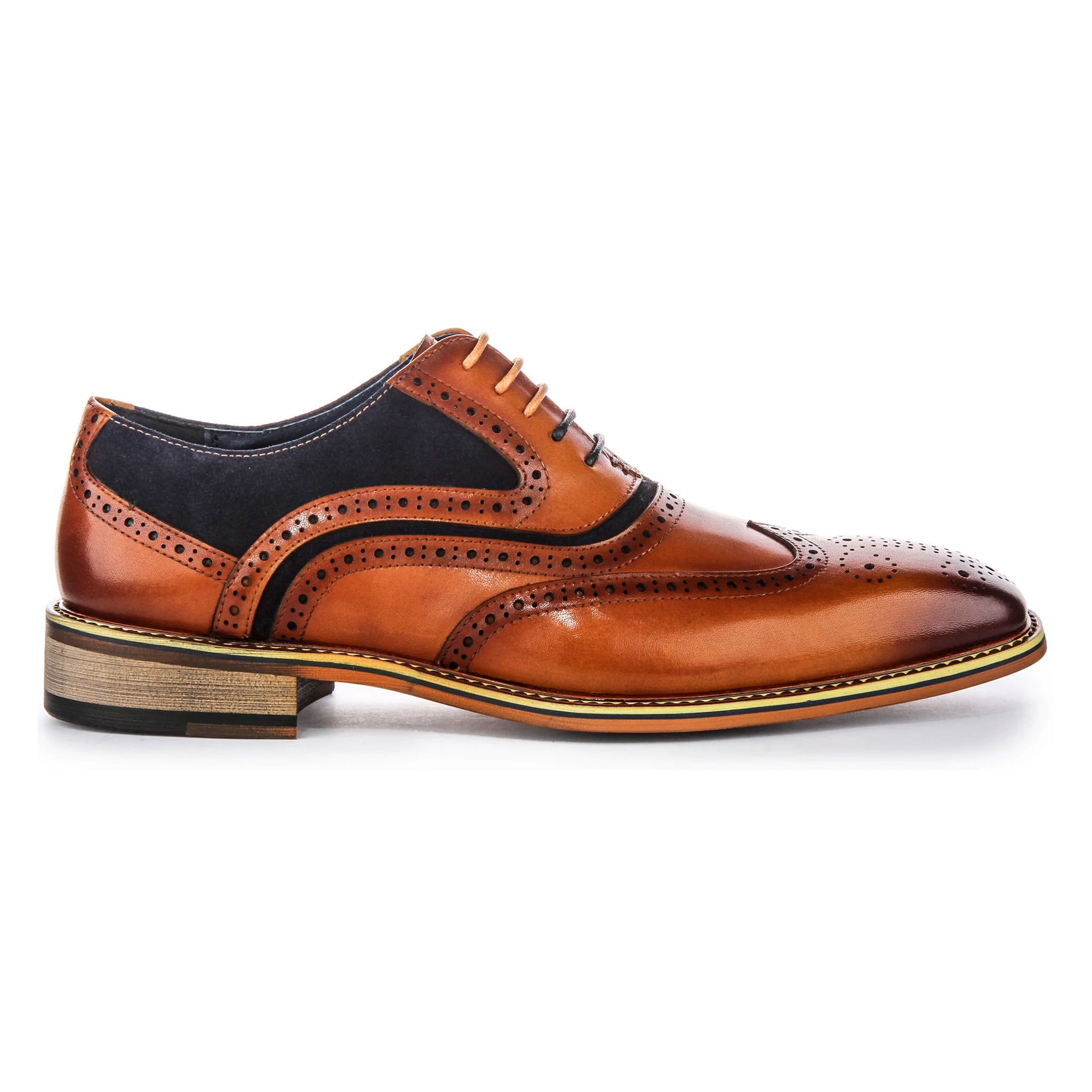 Roman Brogues in Tan/Navy