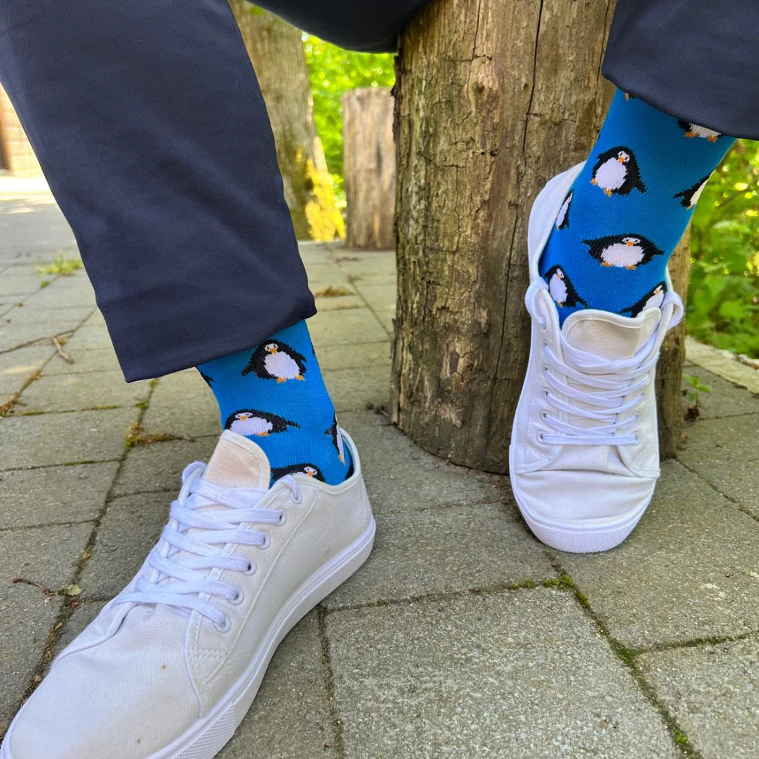 Swole Panda SP291 Penguin Bamboo Socks