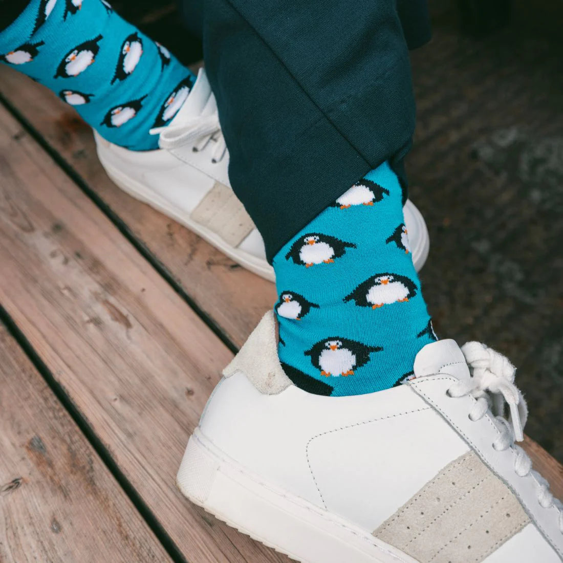 Swole Panda SP291 Penguin Bamboo Socks