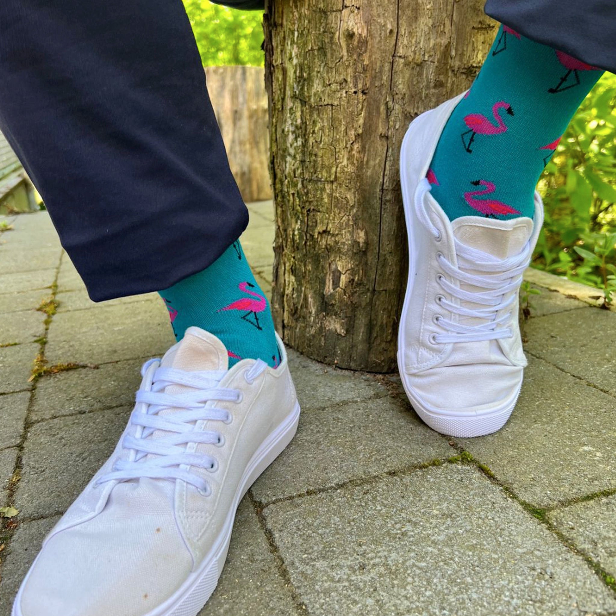 Swole Panda SP327 Flamingo Bamboo Socks