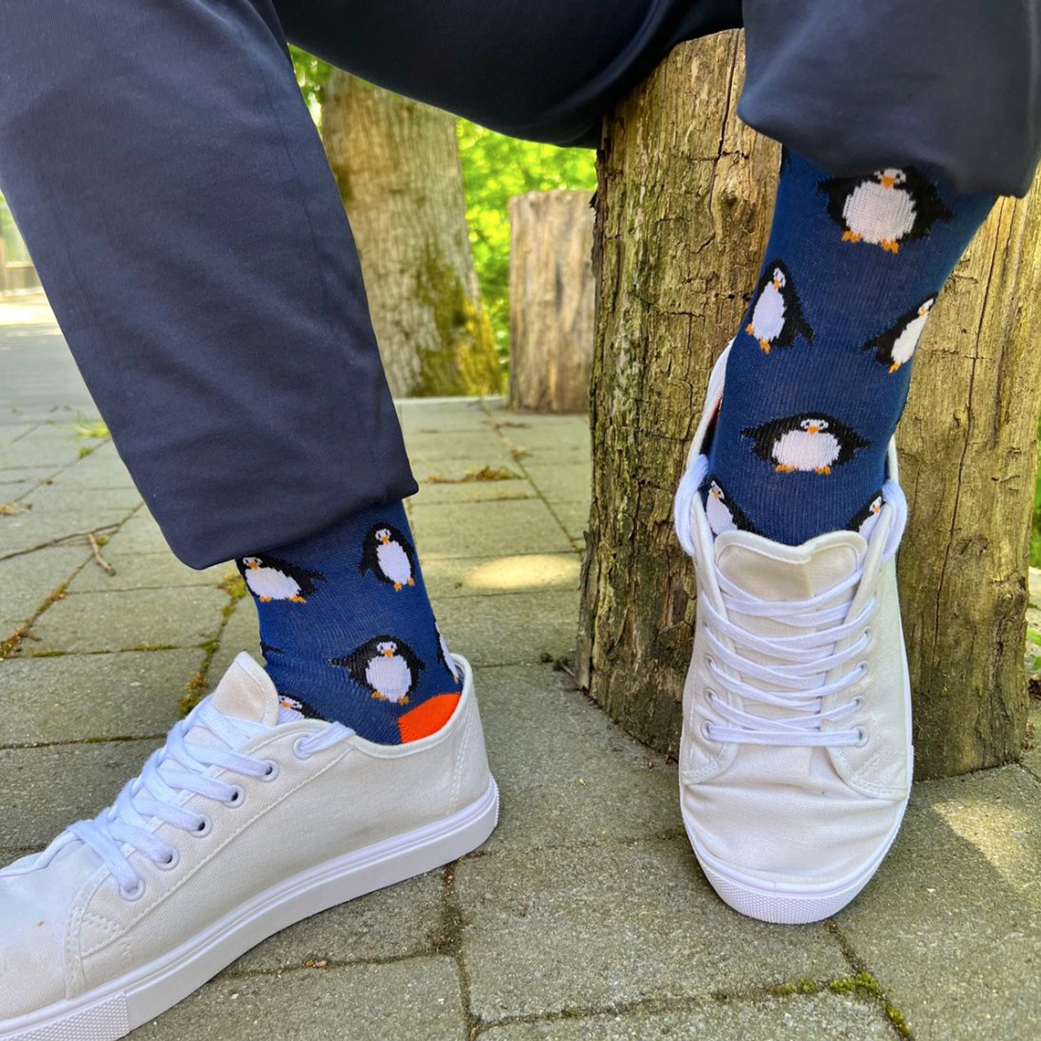 Swole Panda SP376 Navy Penguin Bamboo Socks