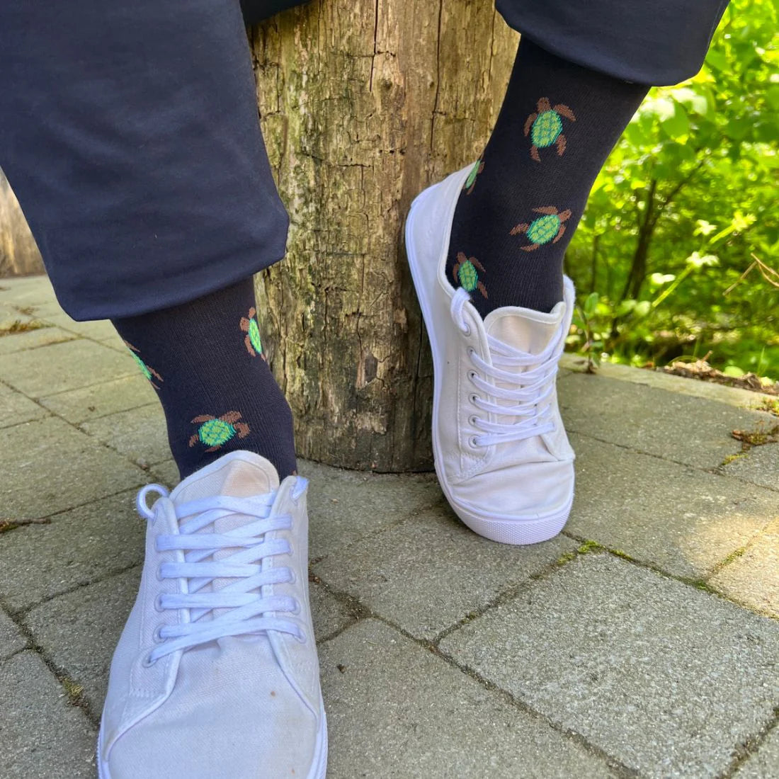 Swole Panda SP380 Turtle Bamboo Socks