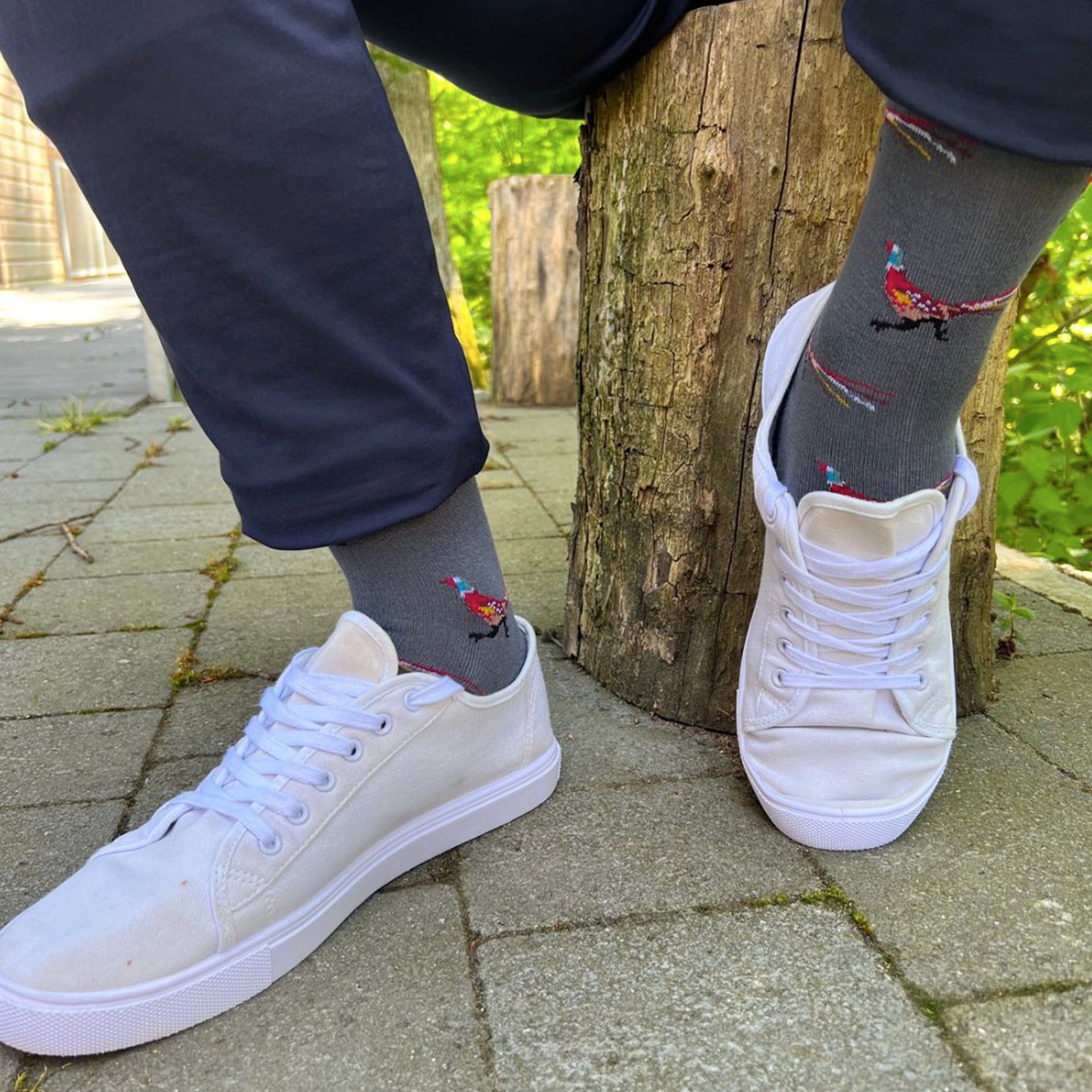 Swole Panda SP391 Grey Pheasant Bamboo Socks