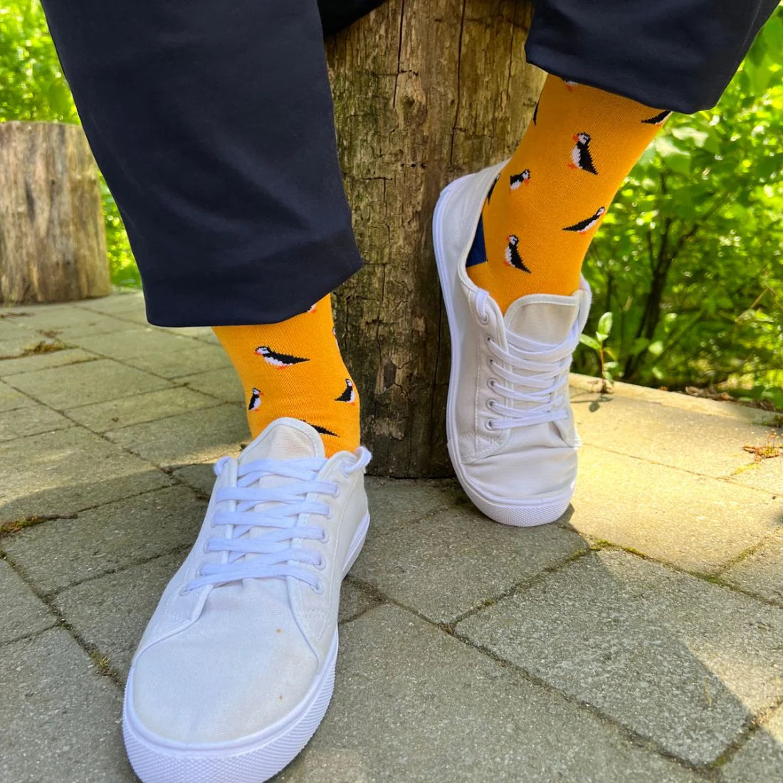Swole Panda SP410 Puffin Bamboo Socks