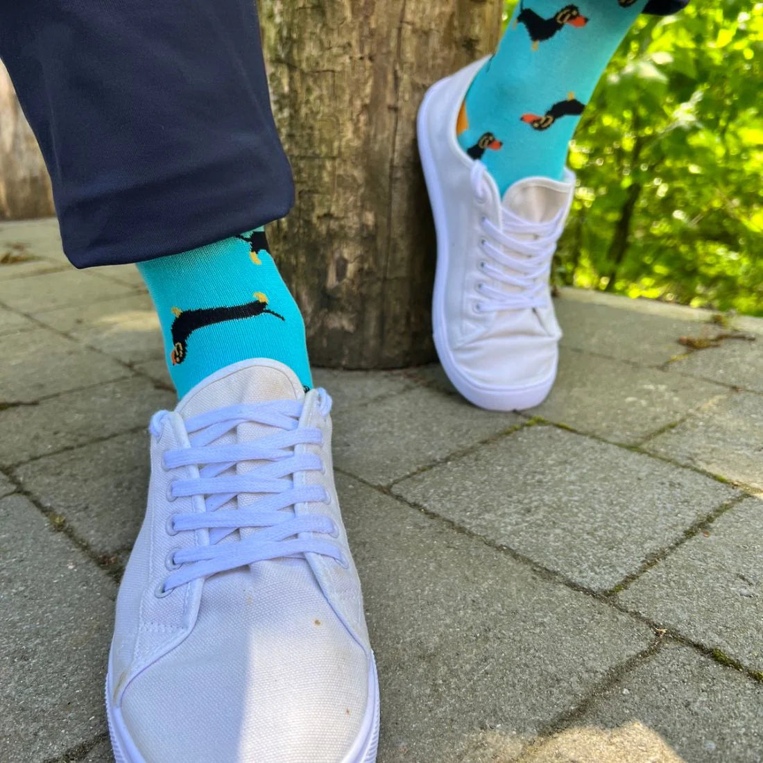 Swole Panda SP384 Sausage Dog Bamboo Socks