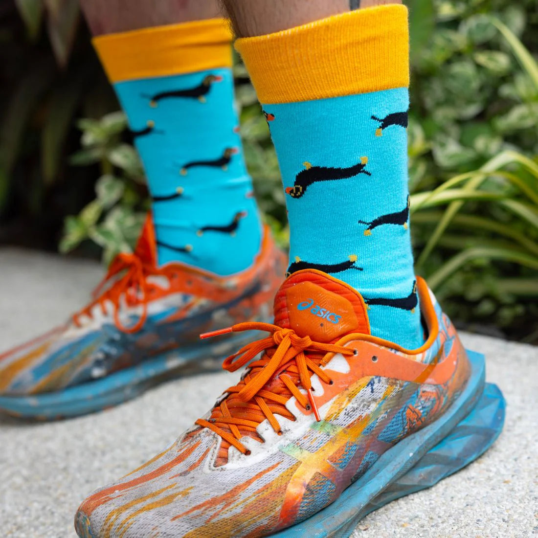 Swole Panda SP384 Sausage Dog Bamboo Socks